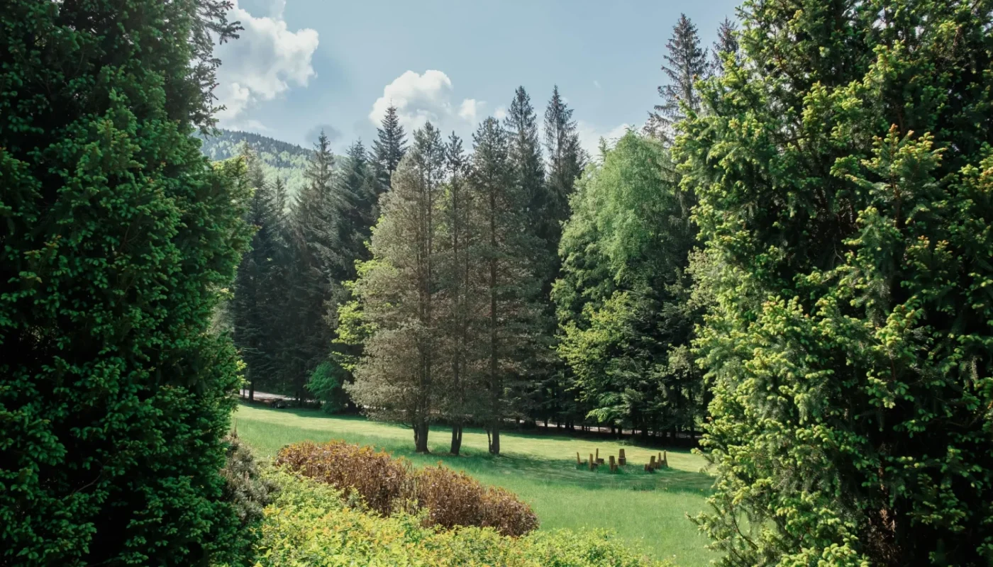 Krajina v okolí hotelu troyer